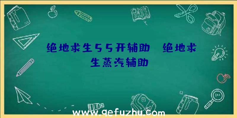 「绝地求生55开辅助」|绝地求生蒸汽辅助